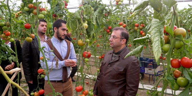 Vali Türker Hafta Sonunda Seralarada İncelemelerde Bulundu