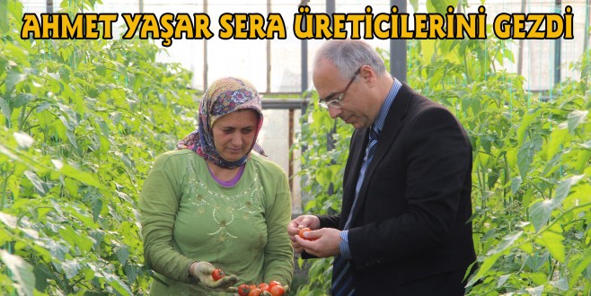 YAŞAR,SERALARI GEZDİ
