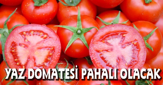 YAZ DOMATESİ PAHALI OLACAK